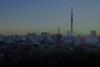 PIP20 postponement_tokyo