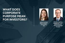 IN_Podcast_What does corporate purpose mean for investors_built in