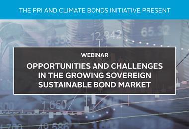 Opportunities and challenges in the growing sovereign sustainable bond market