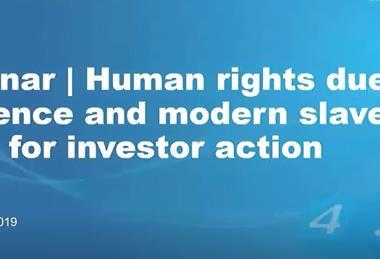 webinar-human_rights