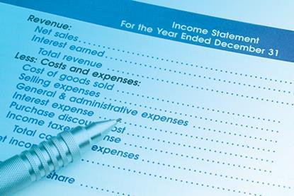 Income statement interest revenue 96904438 copy