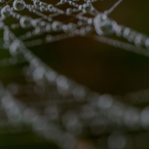taskforce-banner